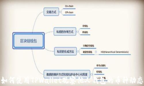 
如何使用TPWallet观察他人钱包的币种动态