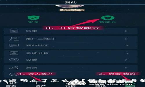 tpwallet密码忘了怎么办？详细解密与解决方案