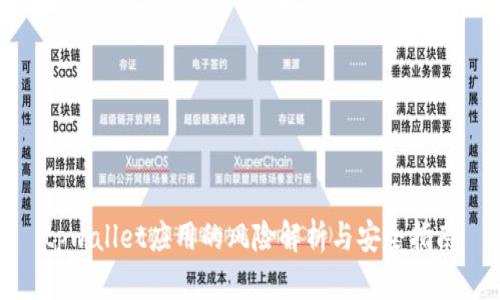 tpwallet应用的风险解析与安全指南