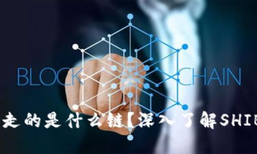 ### SHIB虚拟币走的是什么链？深入了解SHIB背后的区块链技术
