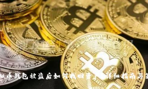 虚拟币钱包被盗后如何找回资产？详细指南与策略