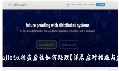 tpwalletu被盗后该如何处理？详尽应对措施与建议