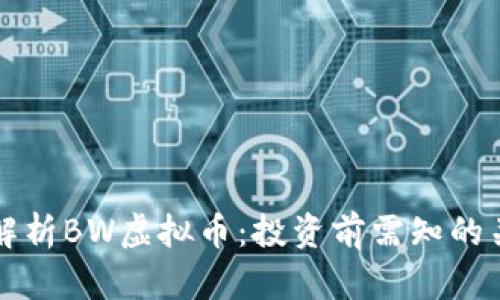 全面解析BW虚拟币：投资前需知的关键点