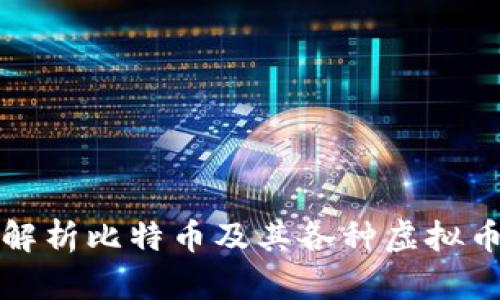 全面解析比特币及其各种虚拟币种类