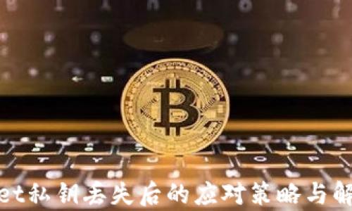 
tpwallet私钥丢失后的应对策略与解决方案