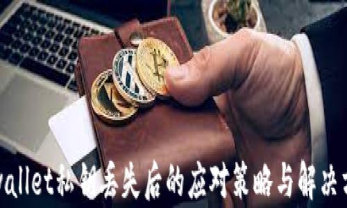 
tpwallet私钥丢失后的应对策略与解决方案