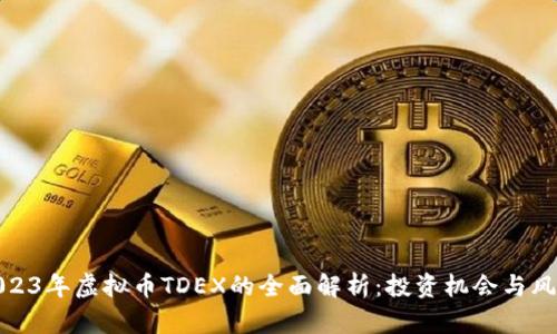 2023年虚拟币TDEX的全面解析：投资机会与风险