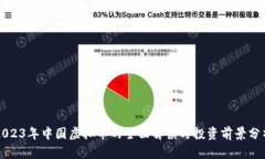 2023年中国虚拟币的全面解