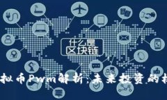 2023年虚拟币Pwm解析：未来