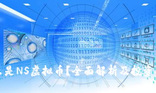 什么是NS虚拟币？全面解析及投资指南