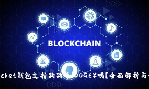 TokenPocket钱包支持狗狗币（DOGE）吗？全面解析与使用指南