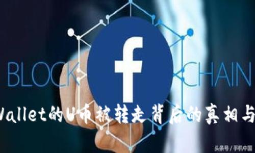 揭秘TP Wallet的U币被转走背后的真相与预防措施