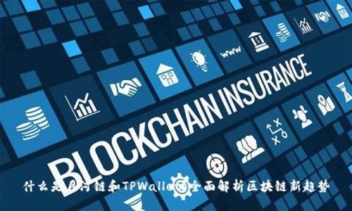 什么是月河链和TPWallet？全面解析区块链新趋势