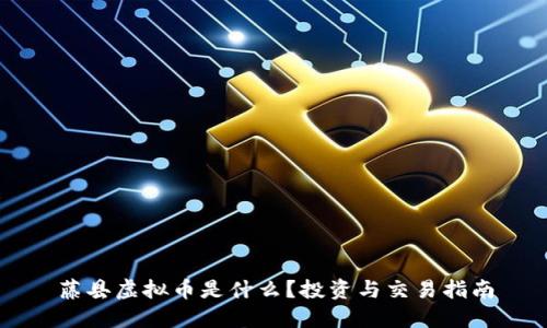 藤县虚拟币是什么？投资与交易指南