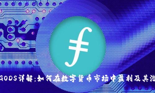虚拟币GODS详解：如何在数字货币市场中盈利及其潜在风险