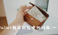 如何处理TPWallet转出打包中