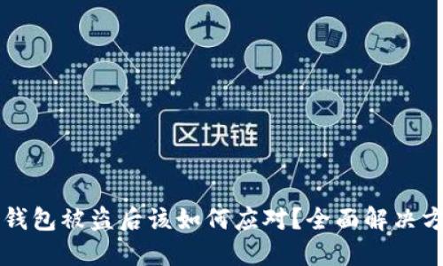 虚拟币钱包被盗后该如何应对？全面解决方案指南