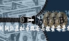 贵州铜仁虚拟币概述与投资前景分析