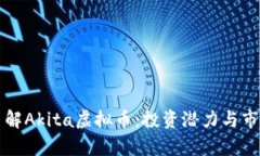 深入了解Akita虚拟币：投资