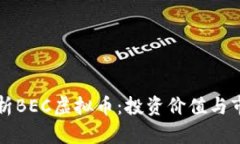 深入解析BEC虚拟币：投资