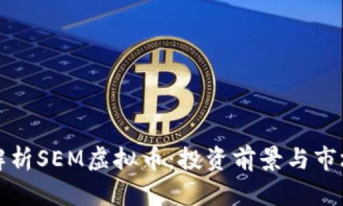 深入解析SEM虚拟币：投资前景与市场动态