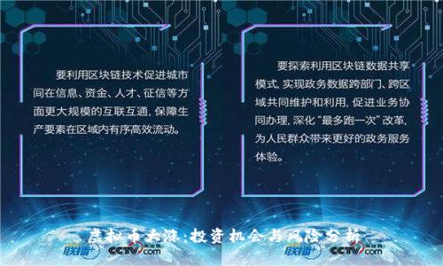 虚拟币大涨：投资机会与风险分析
