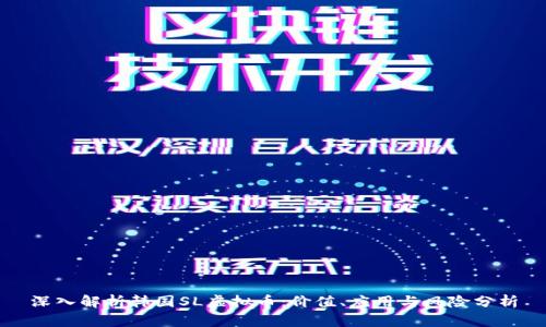 深入解析韩国SL虚拟币：价值、应用与风险分析