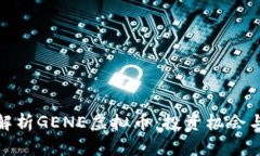深入解析GENE虚拟币：投资