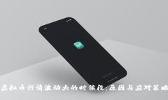 虚拟币行情波动大的时候