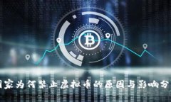 国家为何禁止虚拟币的原