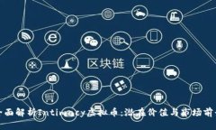 全面解析Intimacy虚拟币：潜