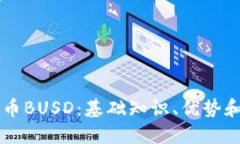 了解虚拟币BUSD：基础知识