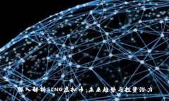 深入解析SINO虚拟币：未来