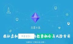 揭秘虚拟币380万的投资机