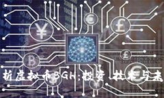 全面解析虚拟币BGH：投资