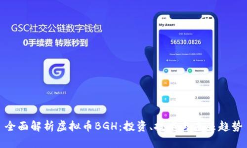 全面解析虚拟币BGH：投资、技术与未来趋势
