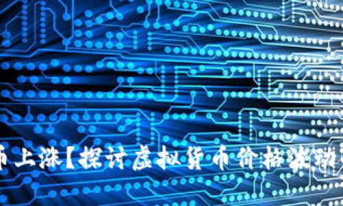 为何虚拟币上涨？探讨虚拟货币价格波动的背后因素