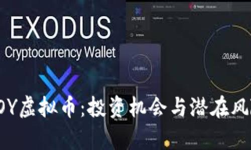 揭秘ROY虚拟币：投资机会与潜在风险分析