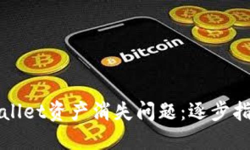 如何解决TPWallet资产消失问题：逐步指南与实用技巧