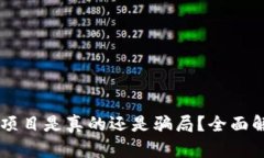 虚拟币赚钱项目是真的还是骗局？全面解析让你