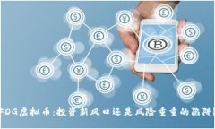 FDG虚拟币：投资新风口还是风险重重的陷阱？