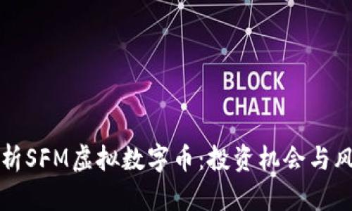 全面解析SFM虚拟数字币:投资机会与风险分析