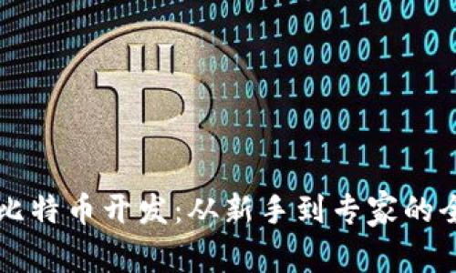 虚拟币比特币开发：从新手到专家的全面指南