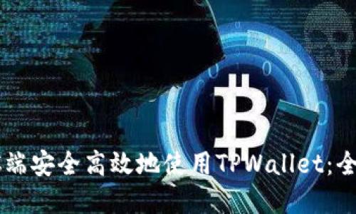 如何在PC端安全高效地使用TPWallet：全方位指南