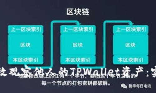 如何有效观察他人的TPWallet资产：实用指南