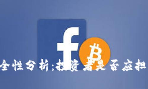TPWallet的安全性分析：投资者是否应担忧其未来发展？