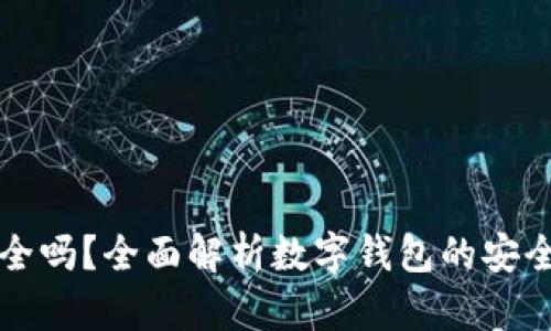 TPWallet安全吗？全面解析数字钱包的安全性与可靠性