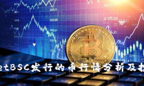 TPWalletBSC发行的币行情分析及投资策略