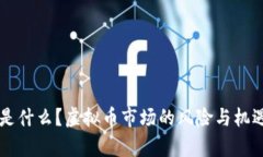 黑币是什么？虚拟币市场