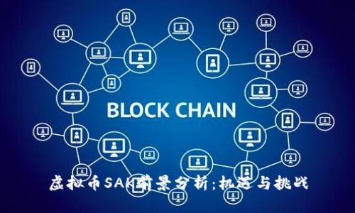 虚拟币SAK前景分析：机遇与挑战